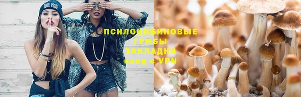 хмурый Алзамай