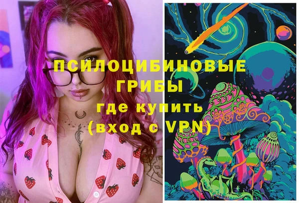 сатива Алексеевка