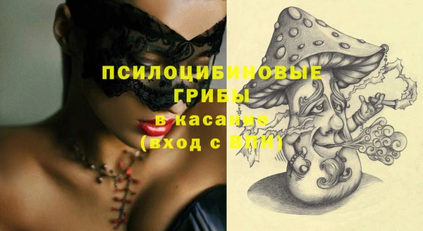 сатива Алексеевка
